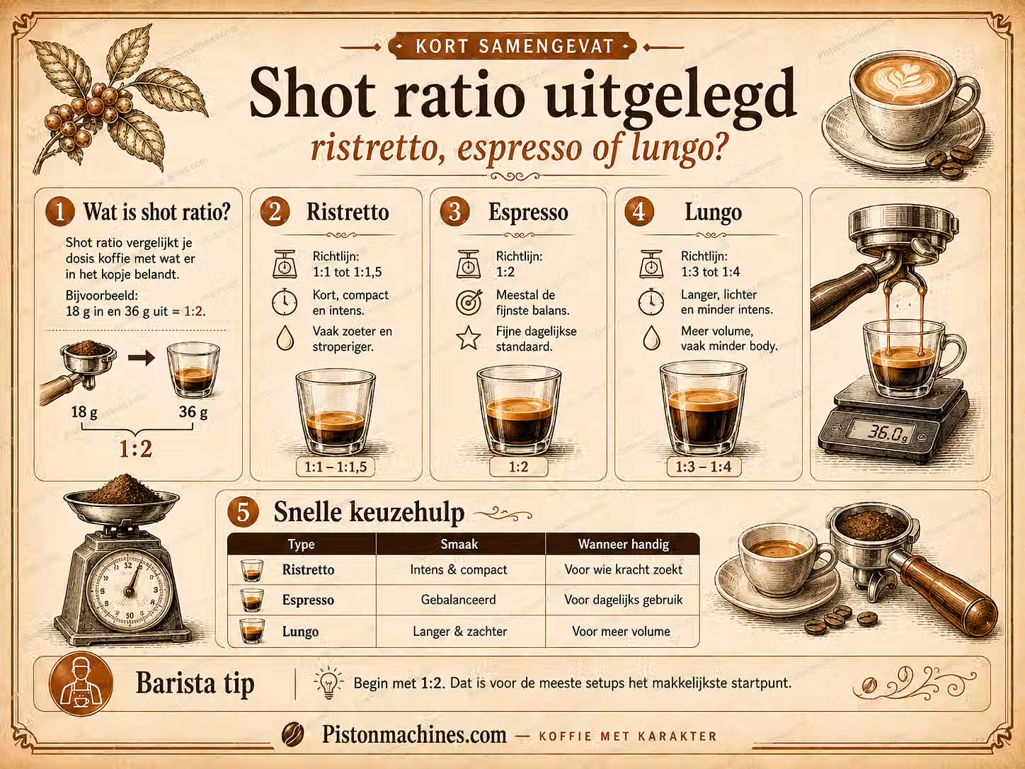 Vintage infographic die ristretto, espresso en lungo vergelijkt met brouwverhoudingen van ongeveer 1:1 tot 1:4.